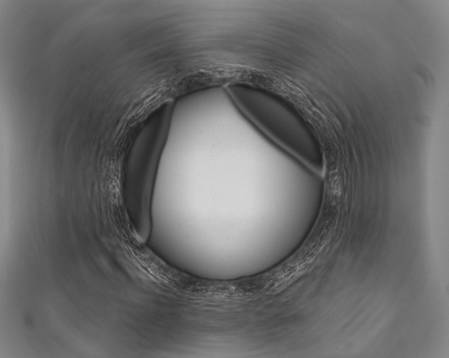 X0000111640916200907171035