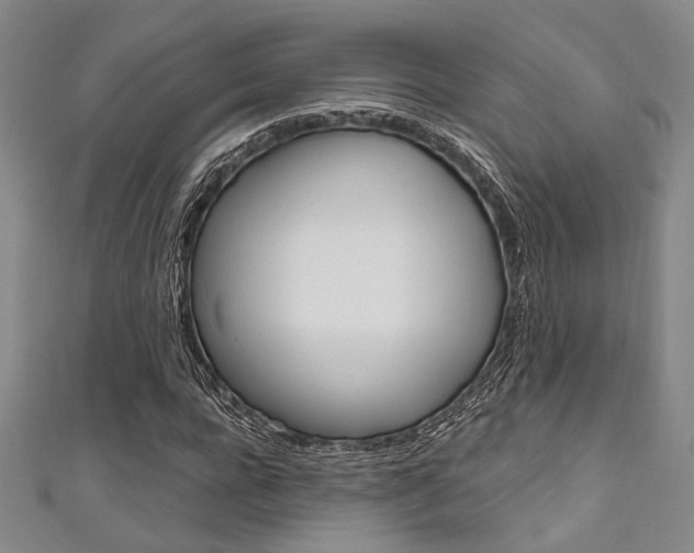 X0000111640920200907171035