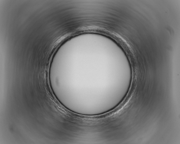 X0000111640921200907171035