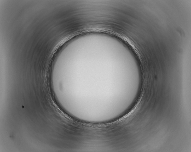 X0000111640922200907171035
