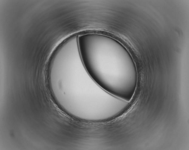 X0000111640926200907171035