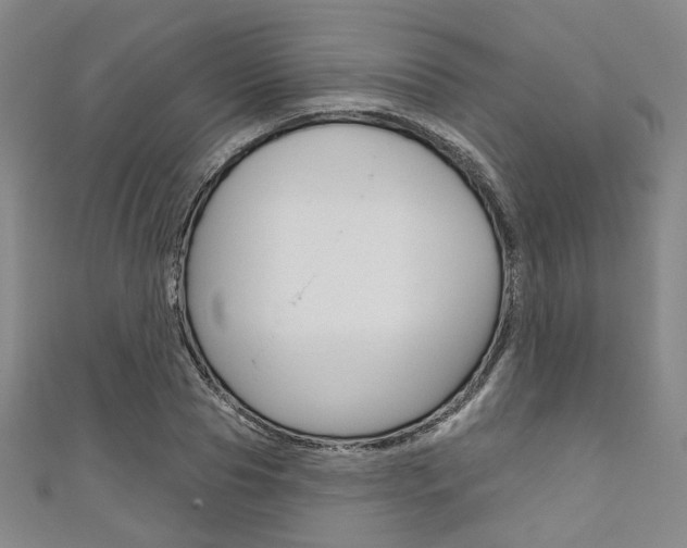 X0000111640929200907171035