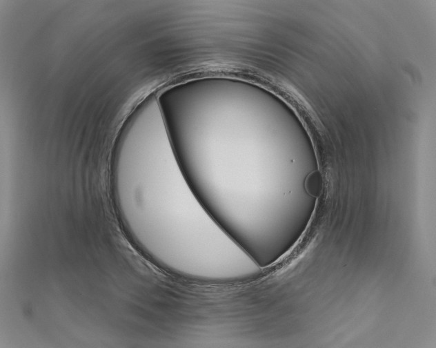 X0000111640930200907171035