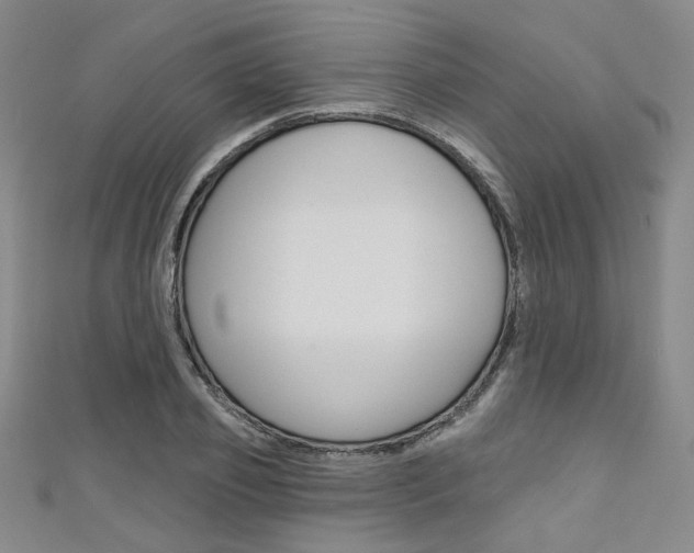 X0000111640933200907171035