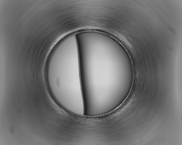 X0000111640934200907171035
