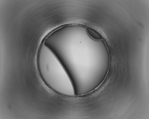 X0000111640936200907171035