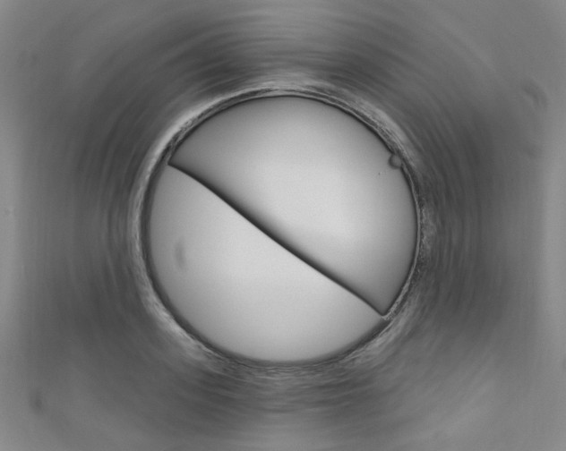 X0000111640939200907171035