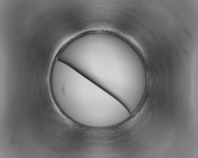 X0000111640943200907171035
