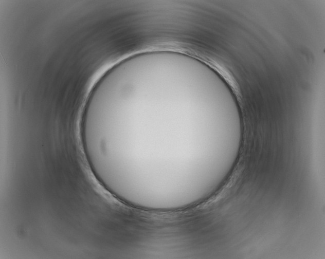 X0000111640944200907171035