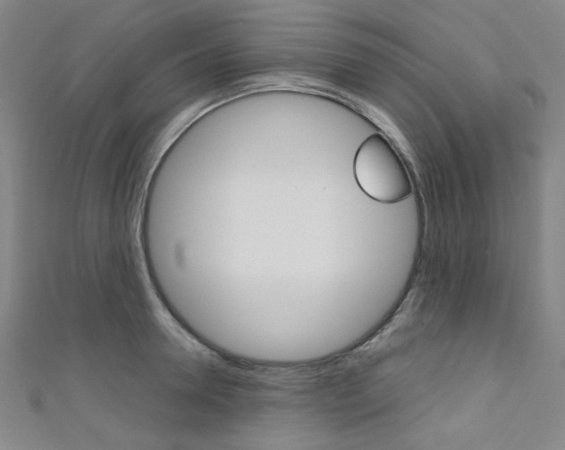 X0000111640946200907171035