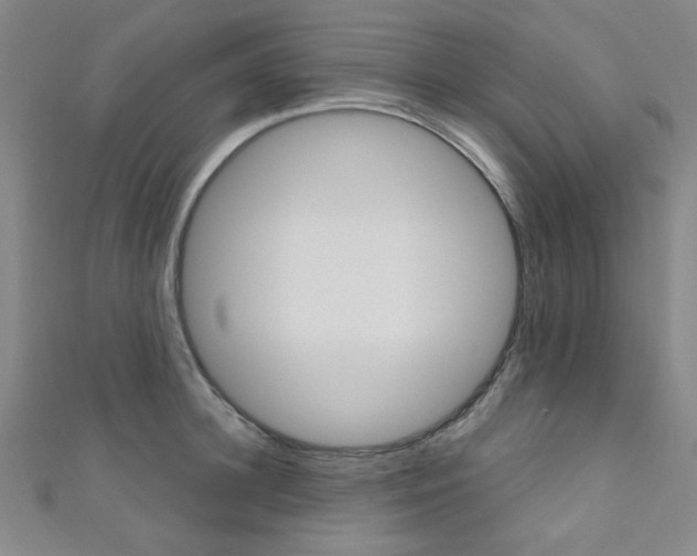 X0000111640948200907171035