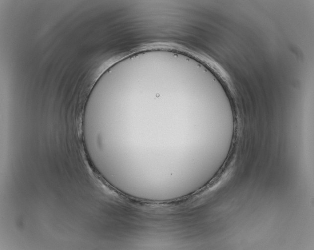 X0000111640953200907171035