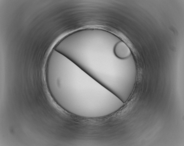 X0000111640955200907171035