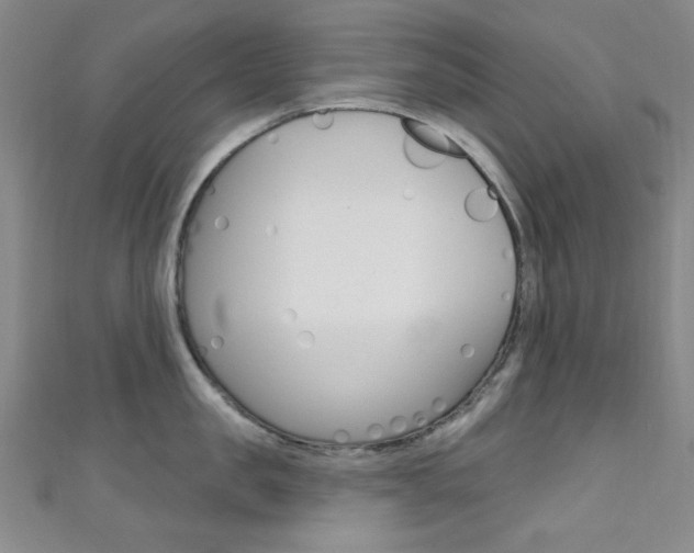 X0000111640957200907171035