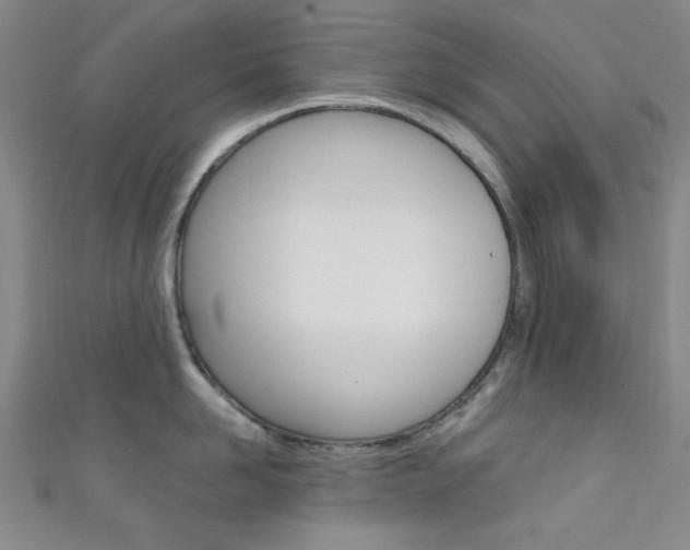 X0000111640958200907171035
