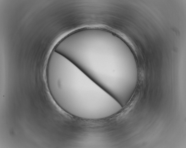 X0000111640959200907171036