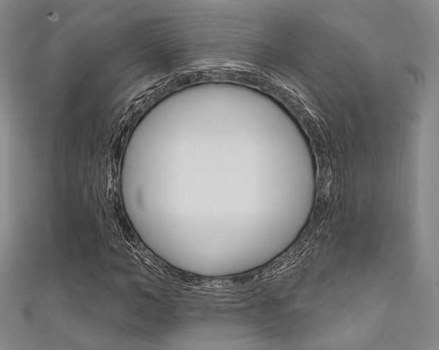 X0000111640966200907171035