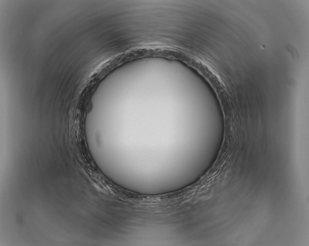 X0000111640968200907171035