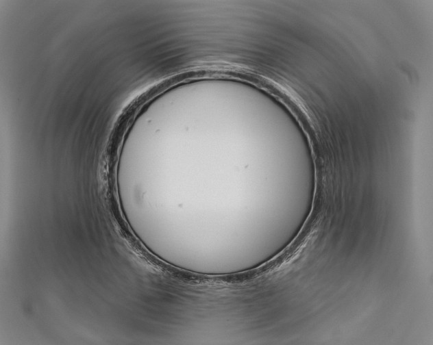 X0000111640971200907171035