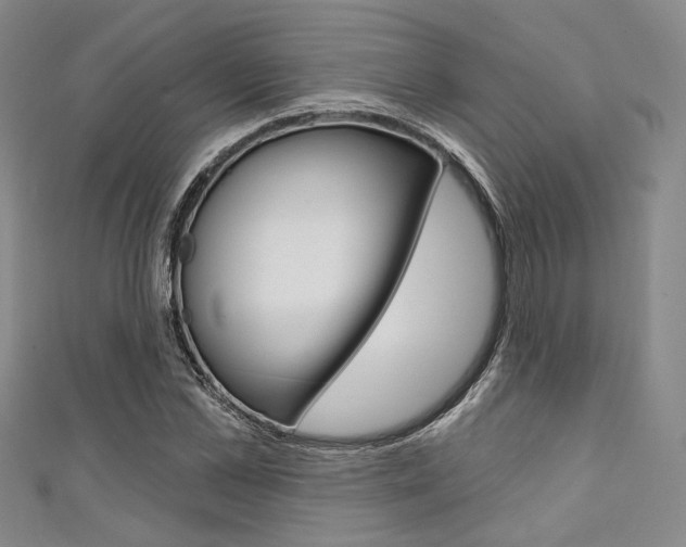 X0000111640973200907171035