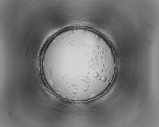 X0000111640974200907171035