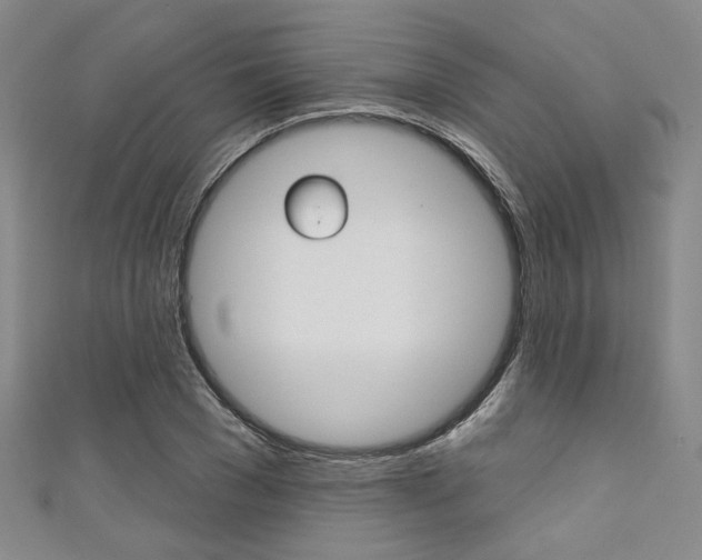 X0000111640977200907171035