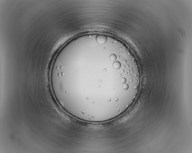 X0000111640978200907171035