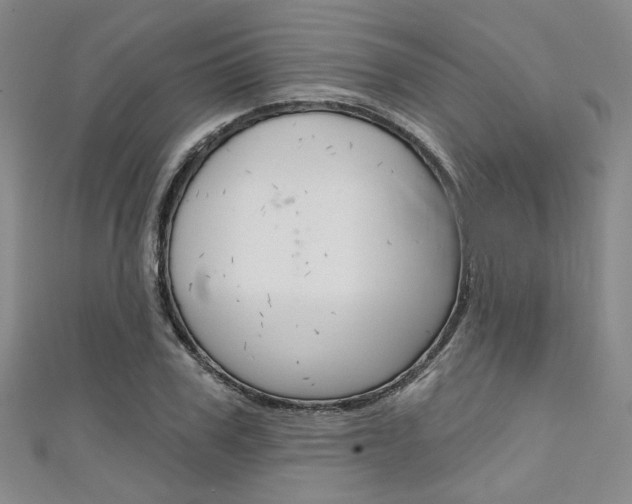 X0000111640979200907171035