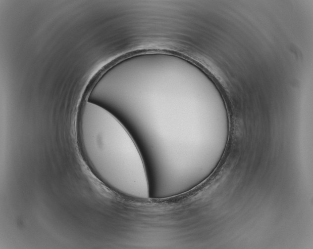 X0000111640980200907171035