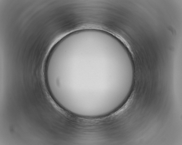 X0000111640981200907171035