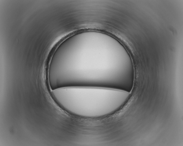 X0000111640983200907171035