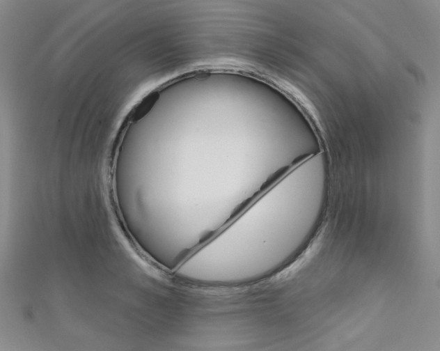 X0000111640989200907171035