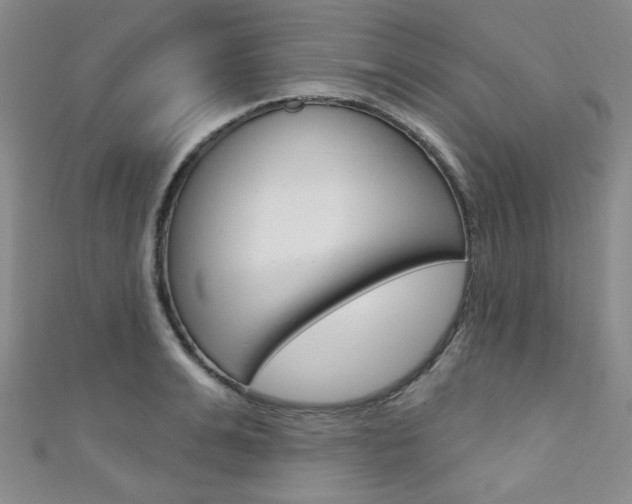 X0000111640991200907171035