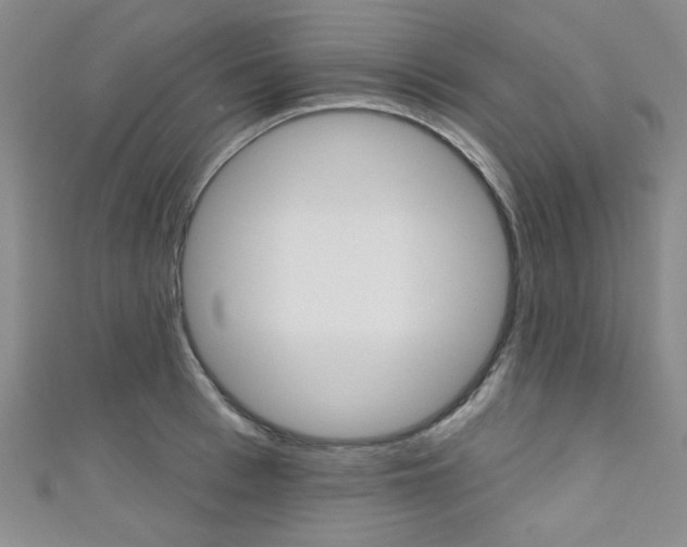 X0000111640993200907171034