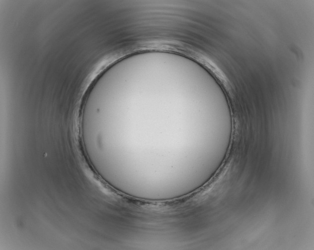 X0000111640994200907171034