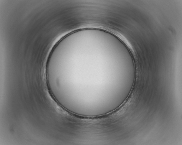 X0000111640996200907171034