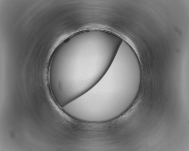 X0000111640997200907171034