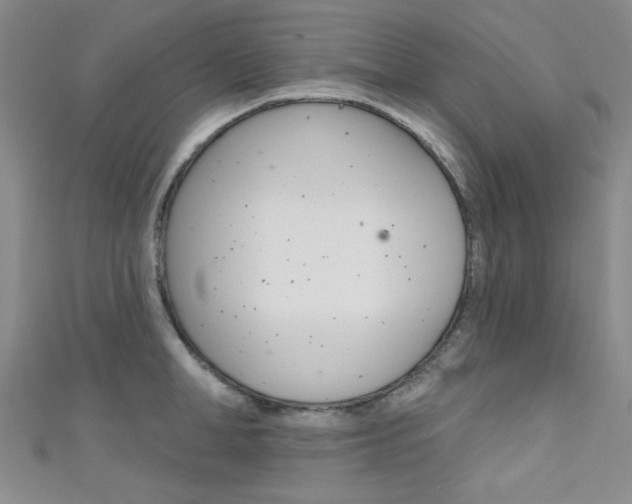 X0000111640998200907171034