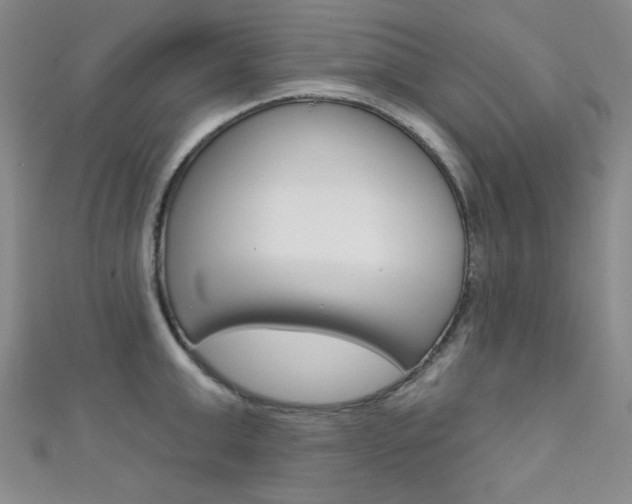 X0000111640999200907171034