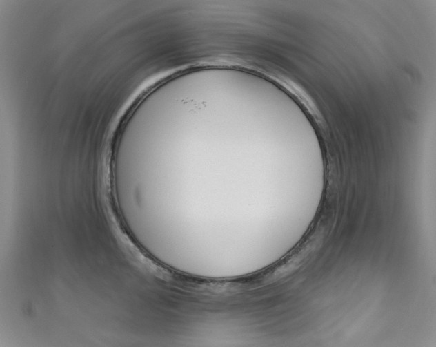 X0000111641000200907171034