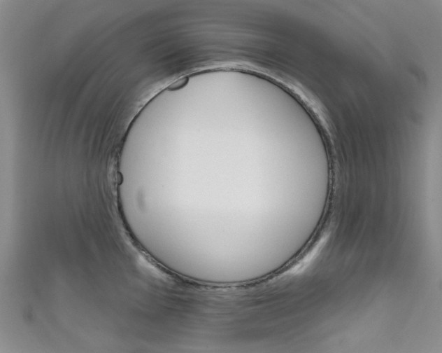 X0000111641001200907171034