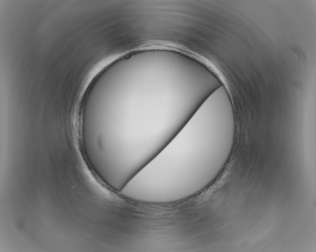 X0000111641003200907171034