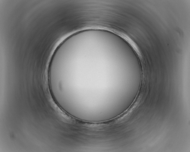 X0000111641004200907171034