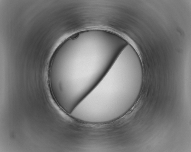 X0000111641005200907171034