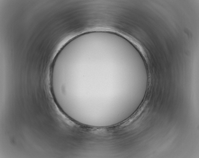 X0000111641006200907171034