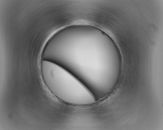 X0000111641008200907171034