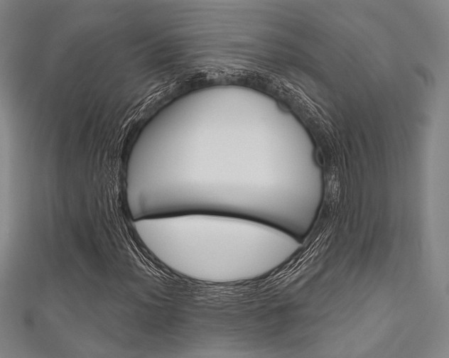 X0000111641012200907171034