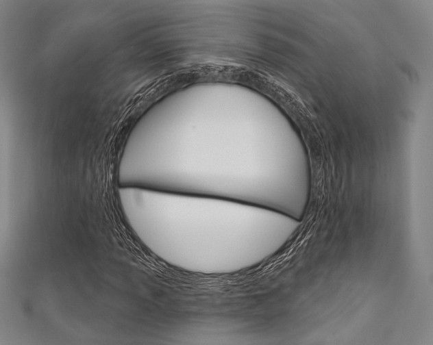 X0000111641013200907171034
