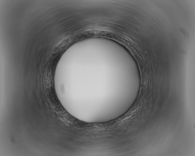 X0000111641014200907171034