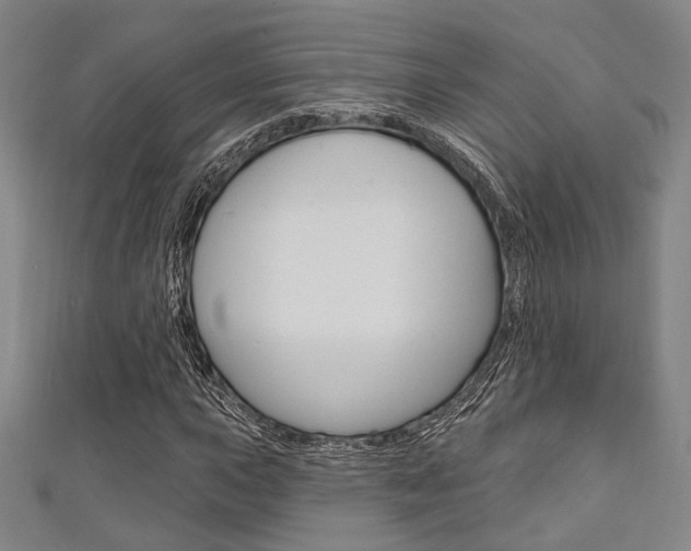 X0000111641015200907171034